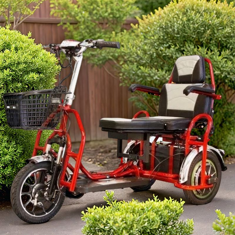 Электротрицикл Elbike Адъютант A4